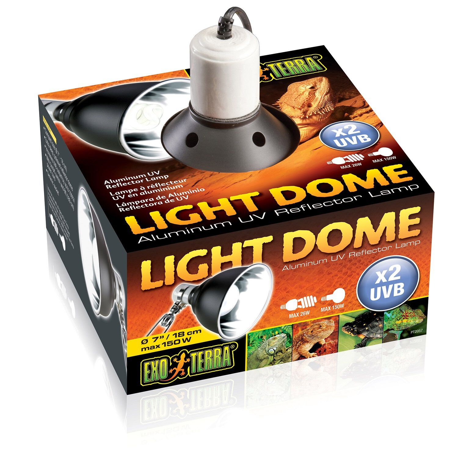 Exo Terra Light Dome For Reptiles | Pet Supermarket