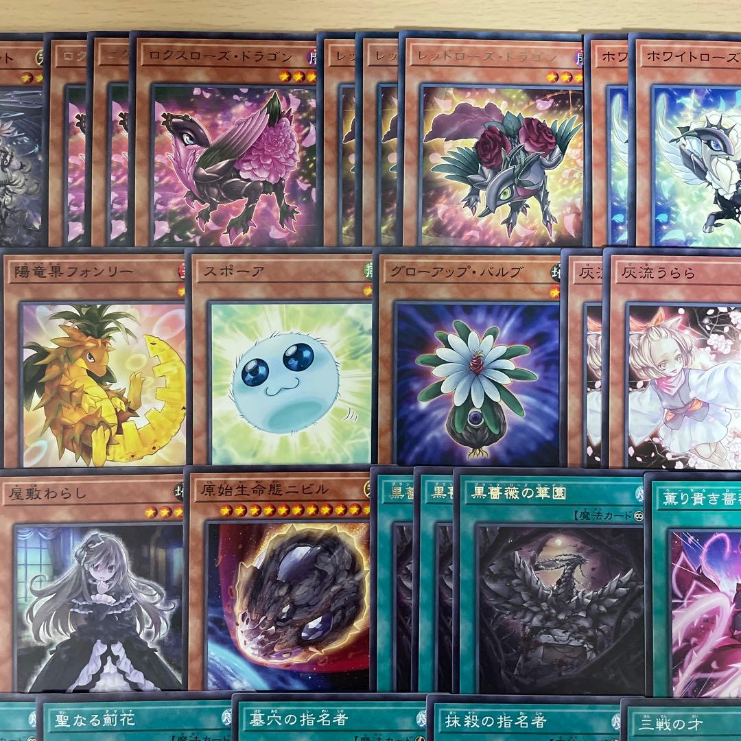 大会優勝構築 アザミナローズドラゴンデッキ レッドローズドラゴン 黒薔薇の破滅竜